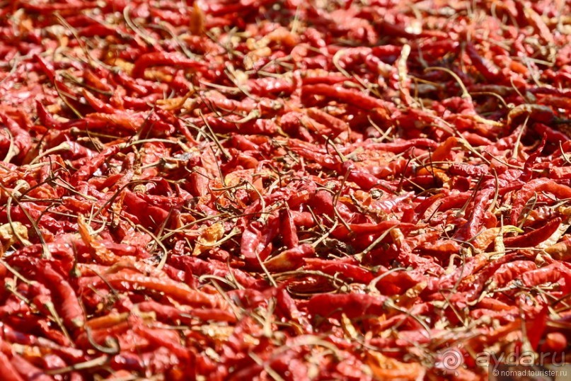 Азиатский квест, или поди туда, не знаю куда. Часть 3