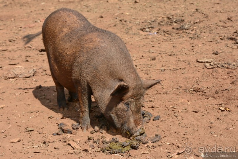 Азиатский квест, или поди туда, не знаю куда. Часть 3