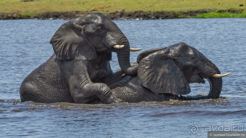 Африканское ралли. Часть 5