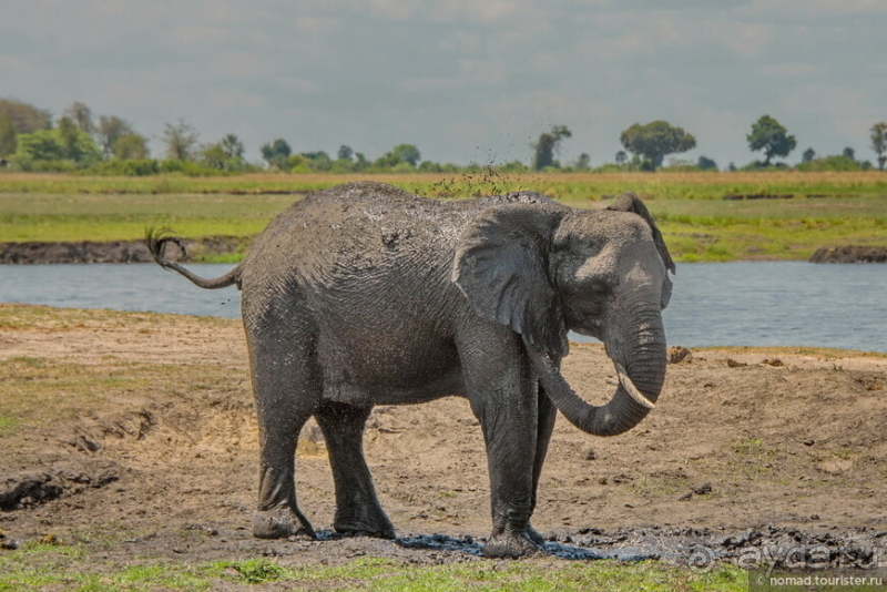 Африканское ралли. Часть 5