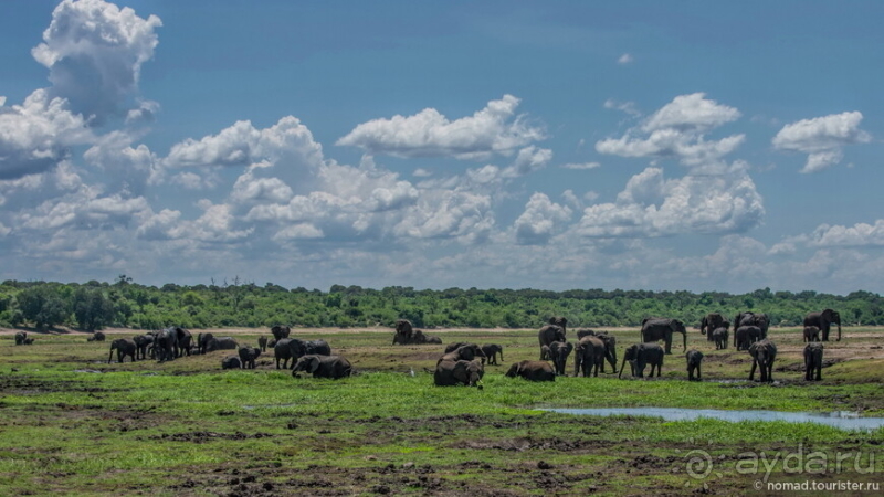 Африканское ралли. Часть 5