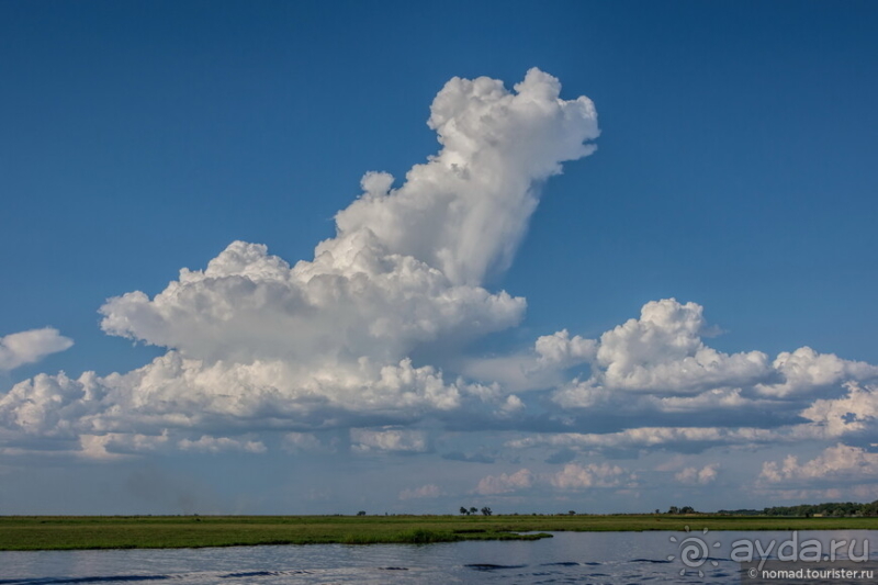 Африканское ралли. Часть 5