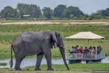 Африканское ралли. Часть 5