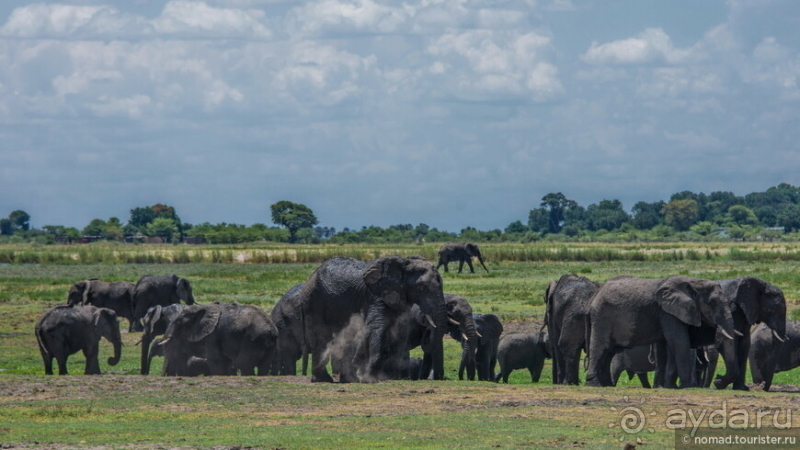 Африканское ралли. Часть 5