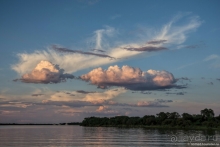 Африканское ралли. Часть 5