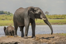 Африканское ралли. Часть 5