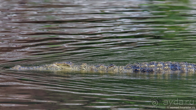 Африканское ралли. Часть 5