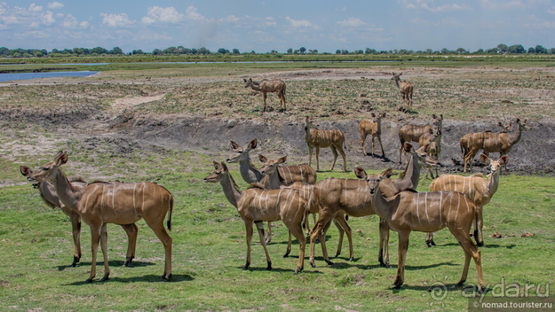 Африканское ралли. Часть 5