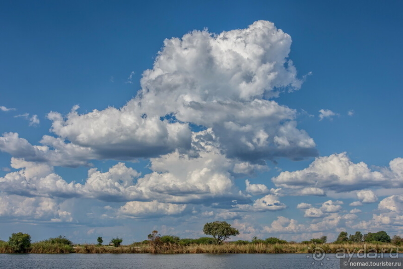 Африканское ралли. Часть 5