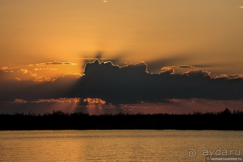 Африканское ралли. Часть 5