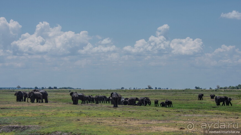 Африканское ралли. Часть 5