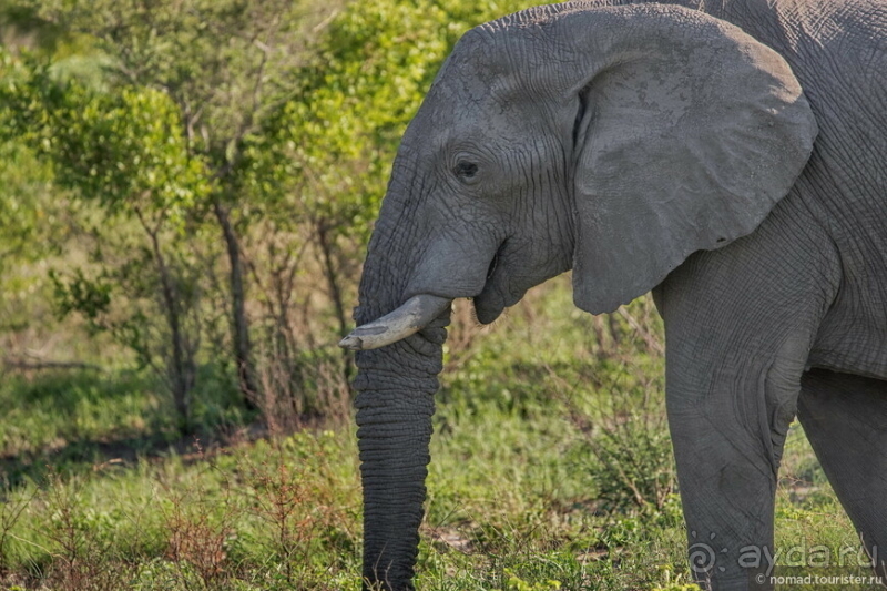 Африканское ралли. Часть 5