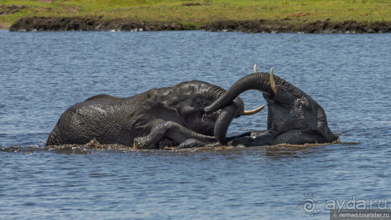 Африканское ралли. Часть 5