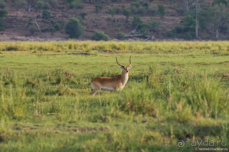 Африканское ралли. Часть 5