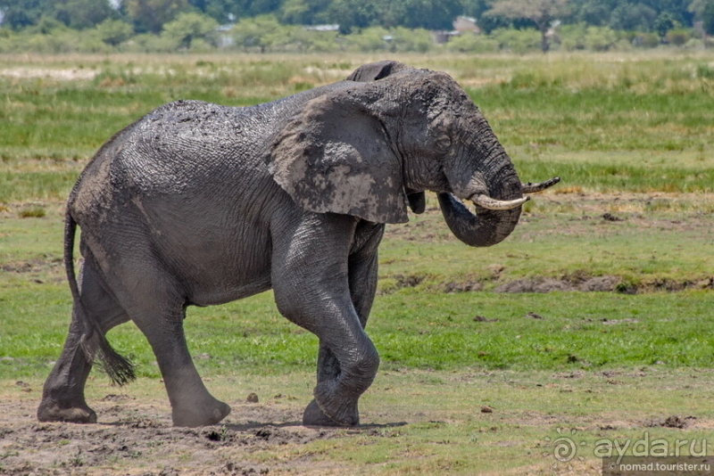 Африканское ралли. Часть 5