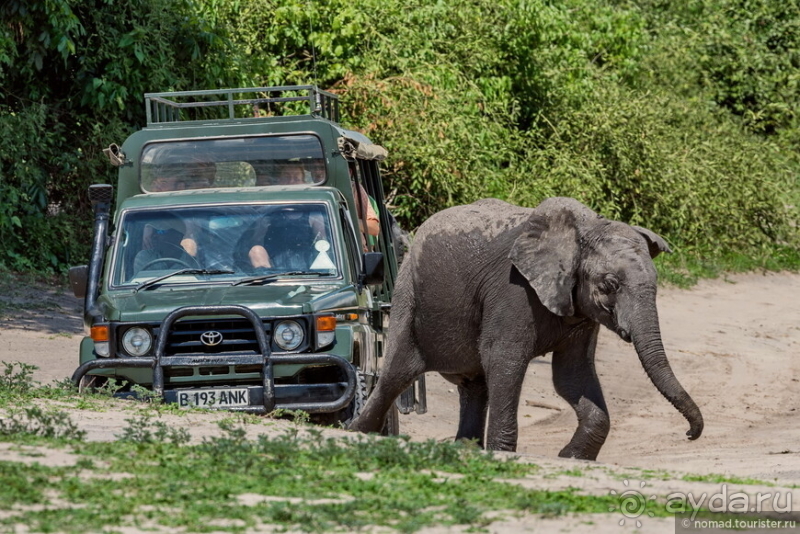 Африканское ралли. Часть 5