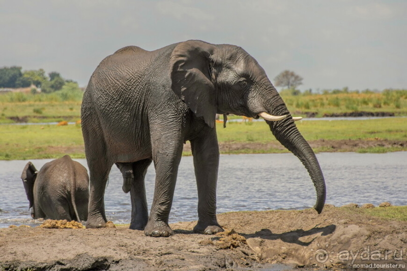 Африканское ралли. Часть 5