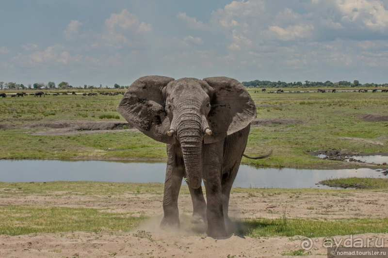 Африканское ралли. Часть 5