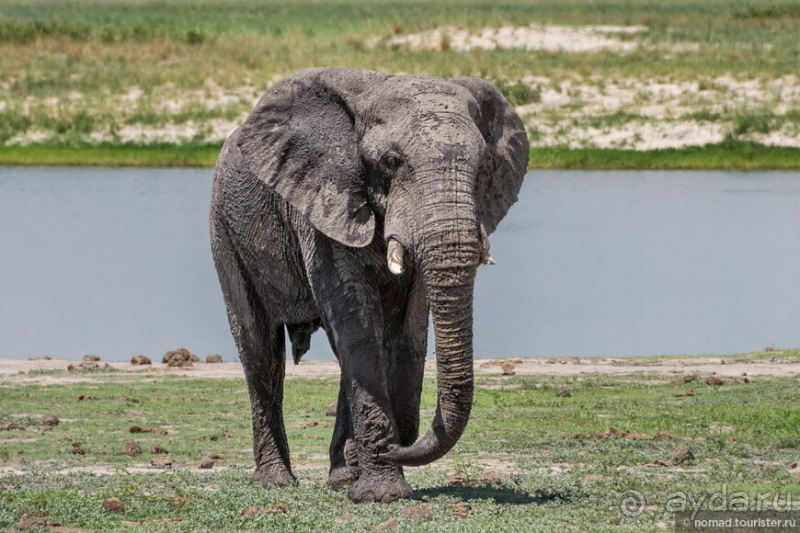 Африканское ралли. Часть 5