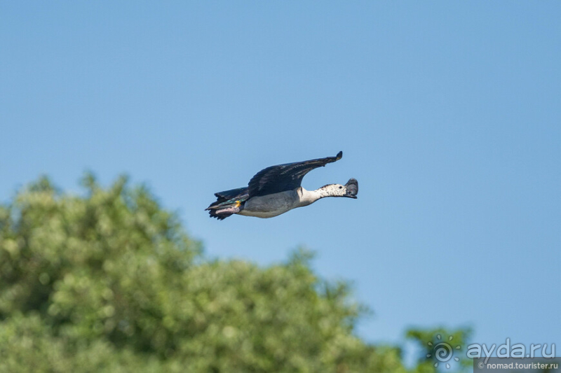 Африканское ралли. Часть 2