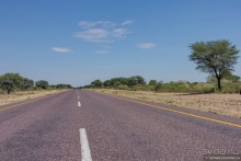 Африканское ралли. Часть 2