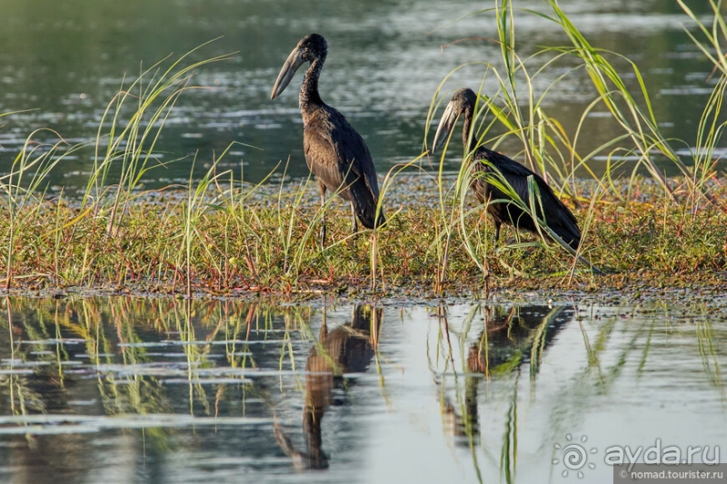 Африканское ралли. Часть 2