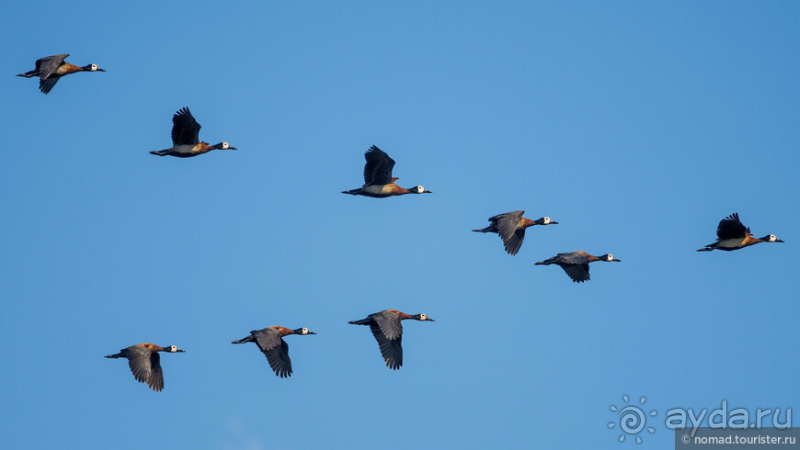 Африканское ралли. Часть 2