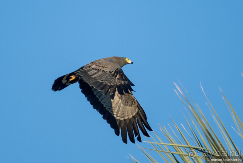 Африканское ралли. Часть 2