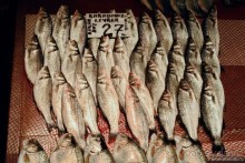 Прогулки по Стамбулу. Ускюдар