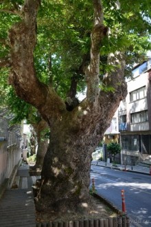 Прогулки по Стамбулу. Ускюдар