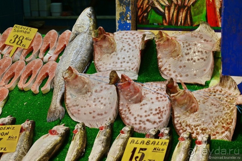 Прогулки по Стамбулу. Ускюдар