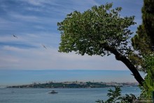 Прогулки по Стамбулу. Ускюдар