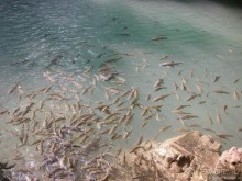 Древние храмы и вечные пляжи. Часть 1