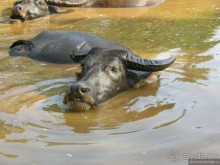 Древние храмы и вечные пляжи. Часть 1