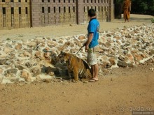 Древние храмы и вечные пляжи. Часть 1