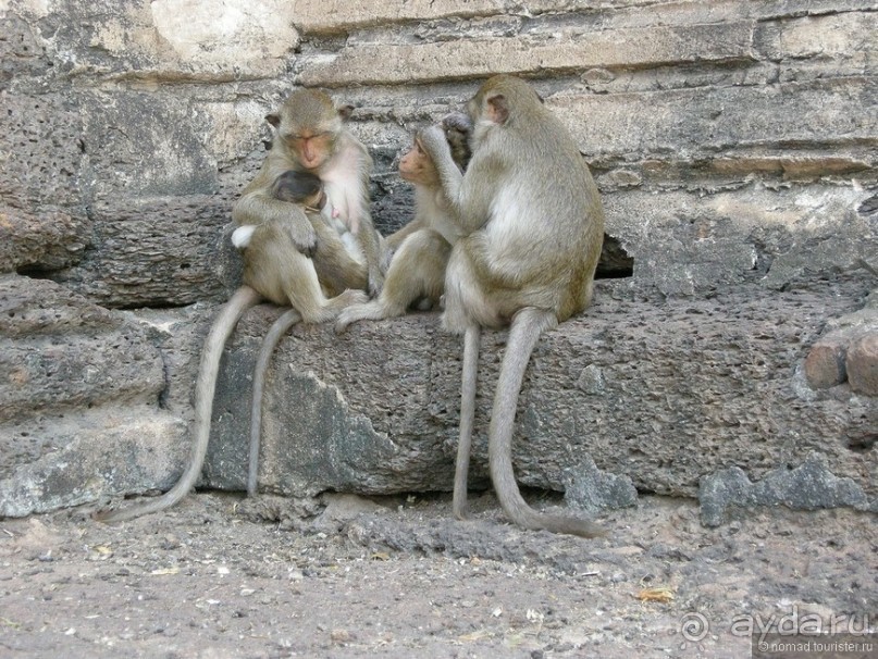 Древние храмы и вечные пляжи. Часть 1