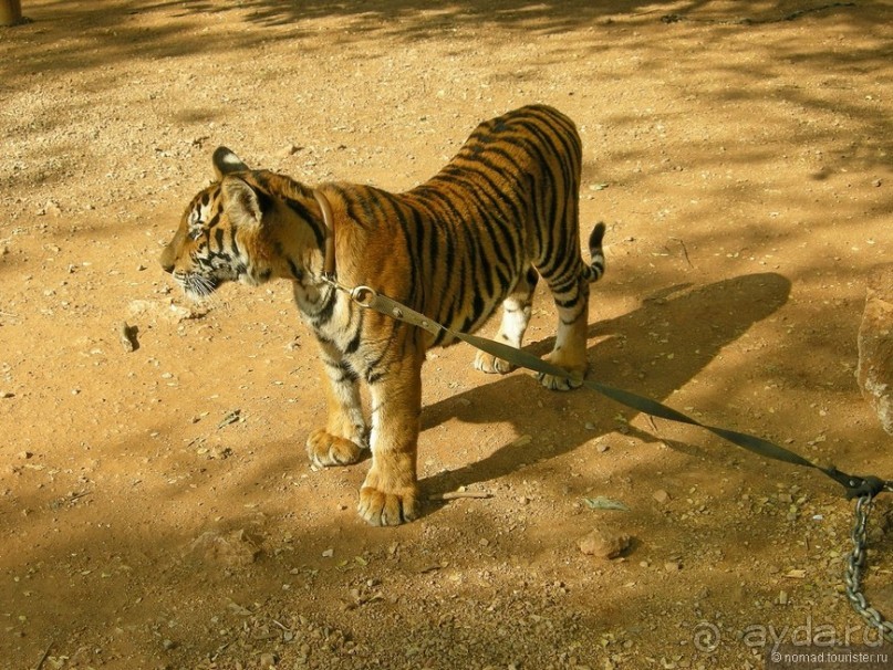 Древние храмы и вечные пляжи. Часть 1