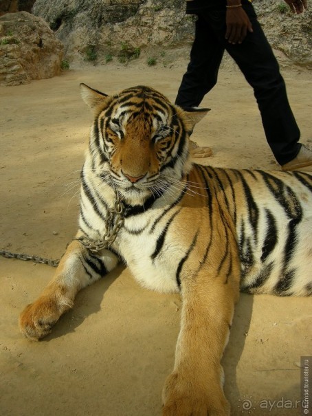 Древние храмы и вечные пляжи. Часть 1