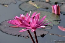 ТАИЛАНДиЯ. Часть 4