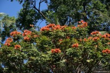 ТАИЛАНДиЯ. Часть 4