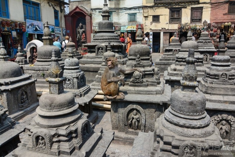 Затерянные Гималаи, Непал-Бутан. Часть 2