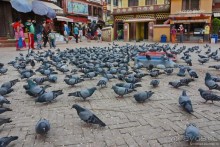 Затерянные Гималаи, Непал-Бутан. Часть 2