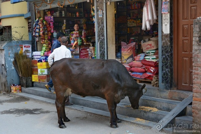 Затерянные Гималаи, Непал-Бутан. Часть 2