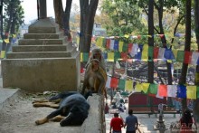 Затерянные Гималаи, Непал-Бутан. Часть 2