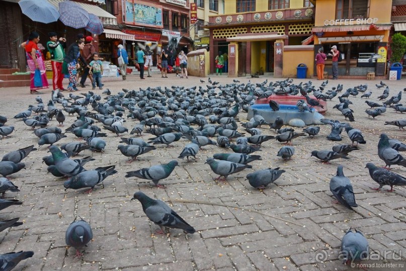 Затерянные Гималаи, Непал-Бутан. Часть 2