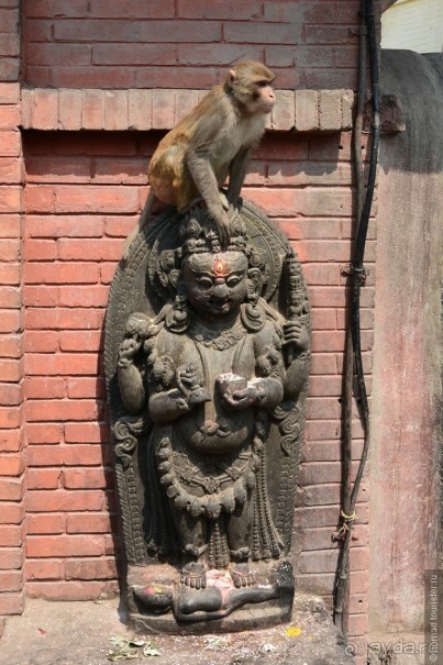 Затерянные Гималаи, Непал-Бутан. Часть 2