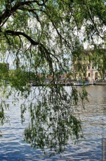 Скандинавские сказки. Стокгольм. Часть 3