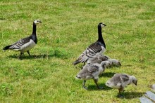Скандинавские сказки. Стокгольм. Часть 3