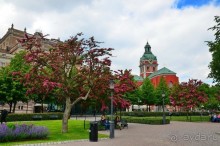 Скандинавские сказки. Стокгольм. Часть 3