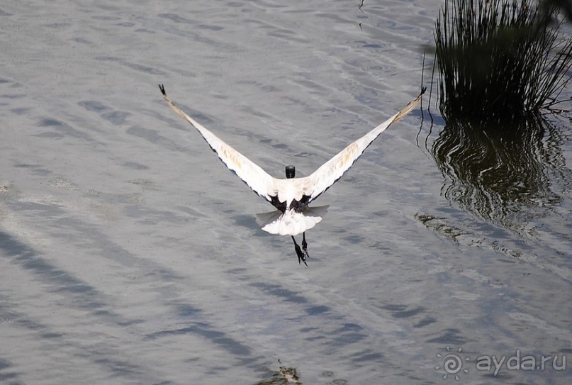 Танзания, Аруша